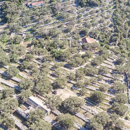 Sonja By Guide Villa